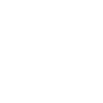 Logo Ibis white